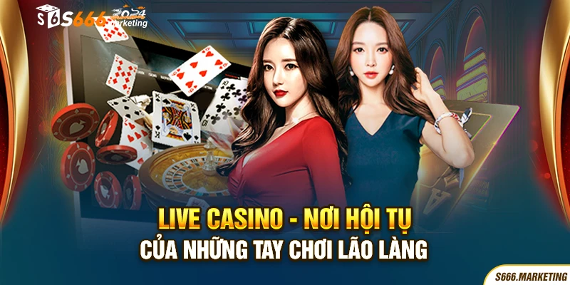 Live casino - Nơi hội tụ của những tay chơi lão làng