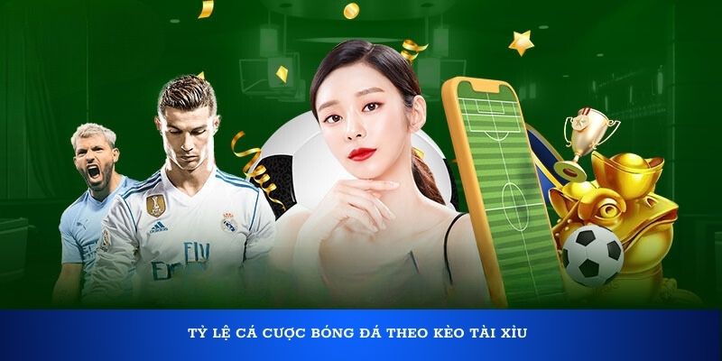 Tỷ lệ cá cược bóng đá theo kèo Tài Xỉu