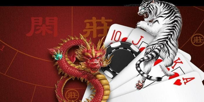 Đôi nét về mẹo đánh Dragon Tiger tại nhà cái GO99